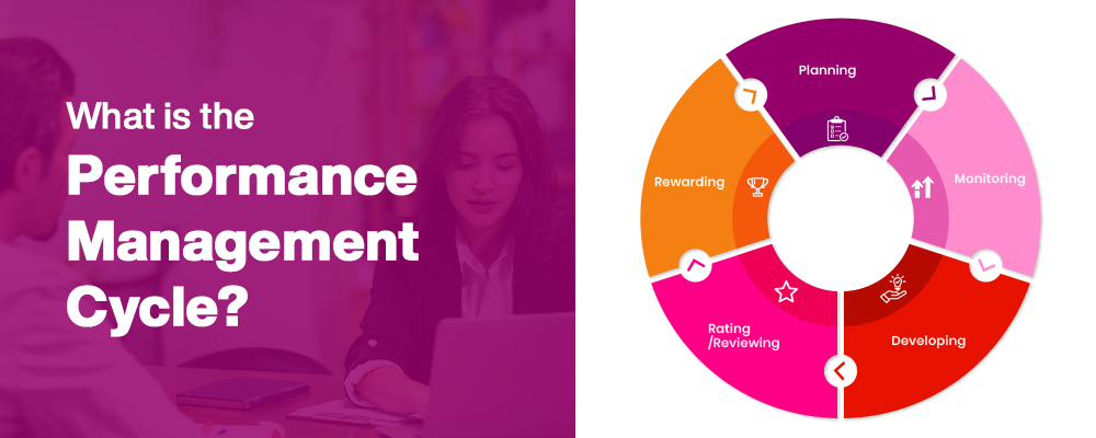 What is the Performance Management Cycle?